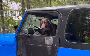 Jeep-wrangler-1989-blue-5