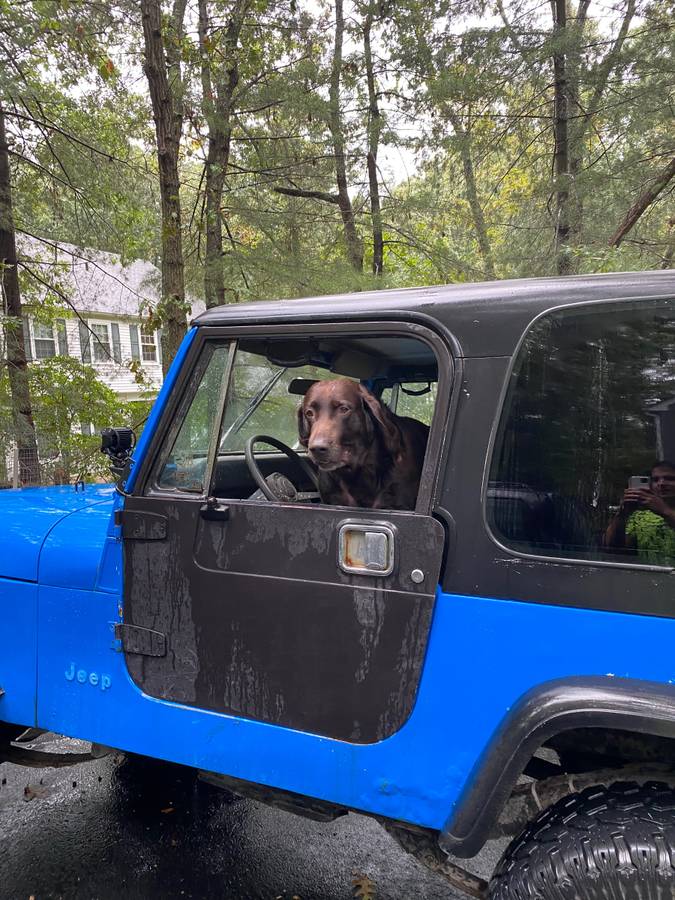 Jeep-wrangler-1989-blue-5