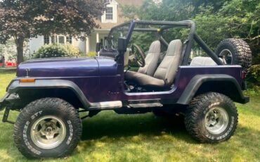 Jeep-wrangler-1989-purple-3