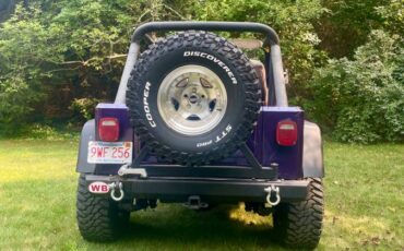 Jeep-wrangler-1989-purple-5