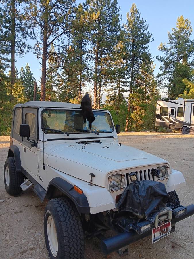 Jeep-wrangler-1989-white-9