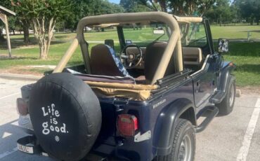 Jeep-wrangler-1990-blue-2