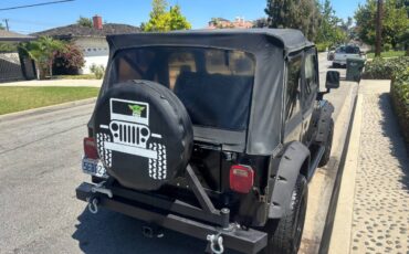 Jeep-wrangler-1991-4