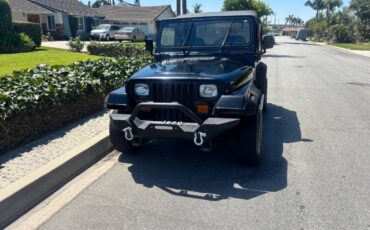 Jeep-wrangler-1991-8