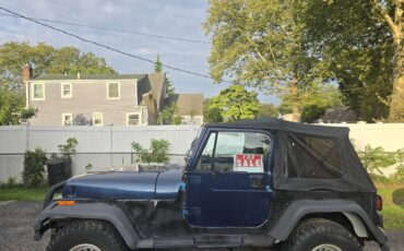 Jeep-wrangler-1991-blue-7