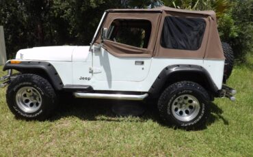 Jeep-wrangler-1993-3
