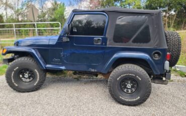 Jeep-wrangler-1993-blue-2