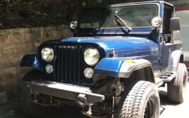Jeep-wrangler-1993-blue-2