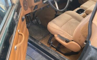 Jeep-wrangler-1993-green-4