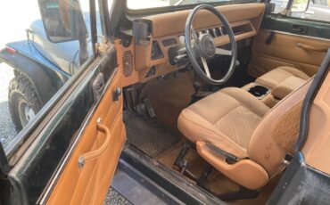 Jeep-wrangler-1993-green-5