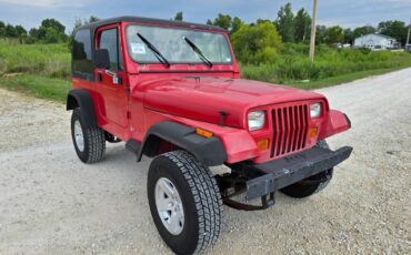 Jeep-wrangler-1994-5