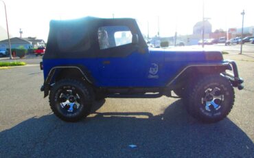 Jeep-wrangler-1994-blue-13