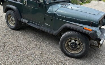 Jeep-wrangler-1994-green-4