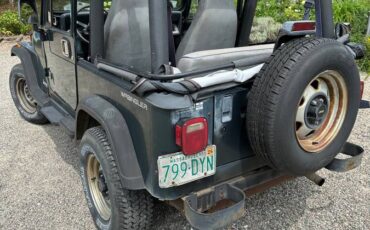 Jeep-wrangler-1994-green-5