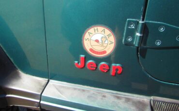 Jeep-wrangler-1994-green-8