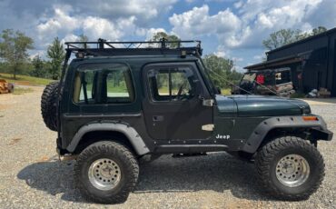 Jeep-wrangler-1995-green-4