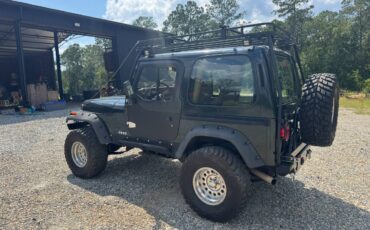 Jeep-wrangler-1995-green-6