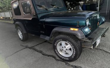 Jeep-wrangler-4.0-1995-10