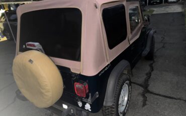 Jeep-wrangler-4.0-1995-8