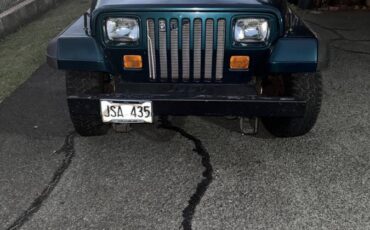 Jeep-wrangler-4.0-1995-9