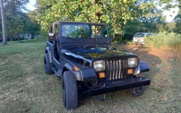Jeep-wrangler-diesel-1993-black-1