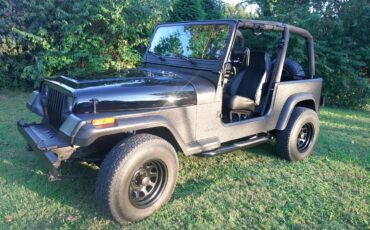 Jeep-wrangler-diesel-1993-black-4