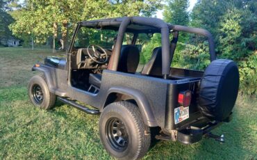 Jeep-wrangler-diesel-1993-black-5