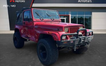 Jeep-wrangler-renegade-manual-1992-4