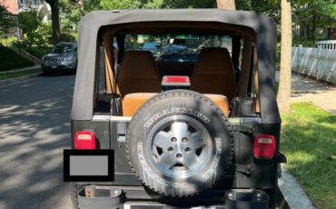 Jeep-wrangler-rio-grande-1995-green-1