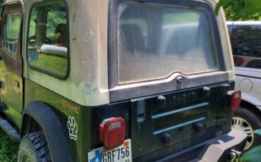 Jeep-wrangler-rio-grande-1995-green-2