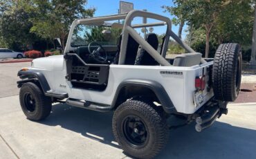 Jeep-wrangler-s-1989-white-2