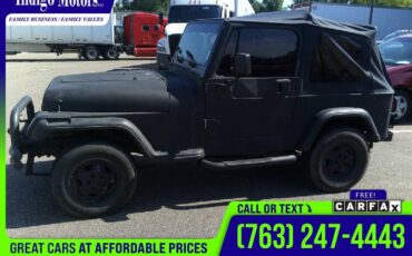 Jeep-wrangler-s-1995-5