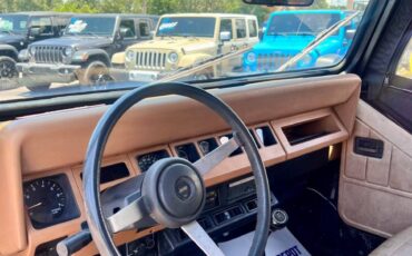Jeep-wrangler-s-1995-black-6