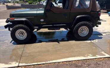 Jeep-wrangler-s-1995-green-1