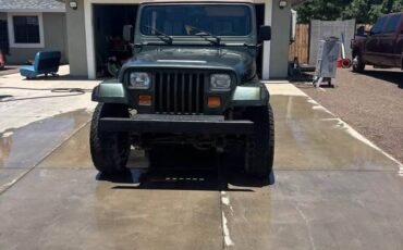 Jeep-wrangler-s-1995-green-2