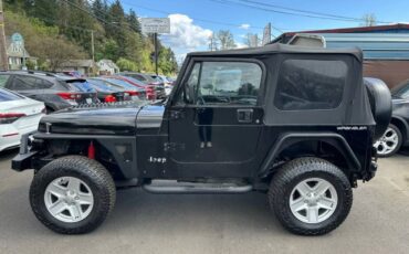Jeep-wrangler-s-sport-utility-1992-black-3