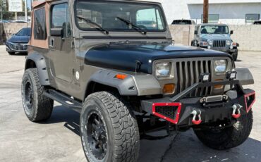 Jeep-wrangler-sahara-1990-brown-2