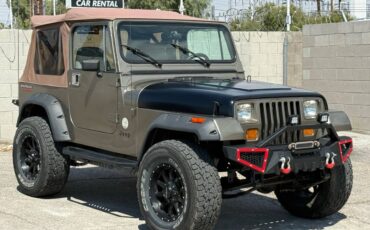 Jeep-wrangler-sahara-1990-brown-3