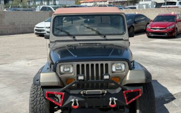 Jeep-wrangler-sahara-1990-brown-5