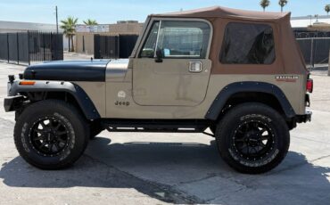 Jeep-wrangler-sahara-1990-brown-6