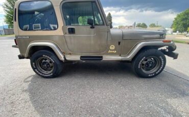Jeep-wrangler-sahara-1991-green-3
