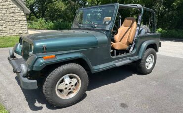 Jeep-wrangler-sahara-1993-green-5