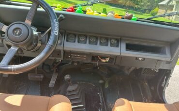 Jeep-wrangler-sahara-1993-green-6