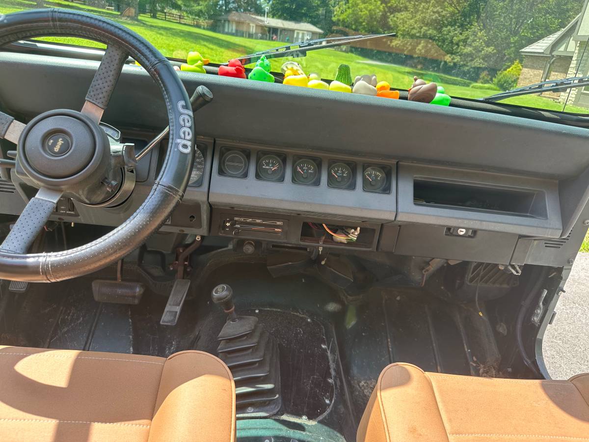 Jeep-wrangler-sahara-1993-green-6