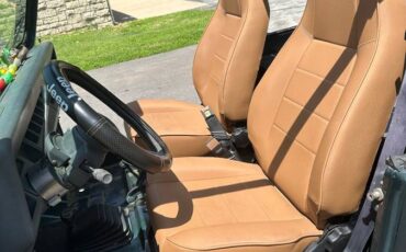 Jeep-wrangler-sahara-1993-green-7