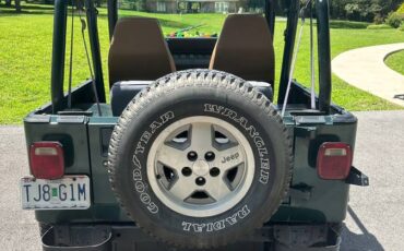Jeep-wrangler-sahara-1993-green-9