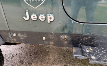 Jeep-wrangler-sahara-1994-green-9