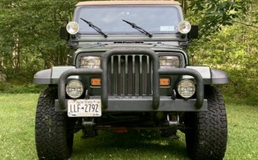 Jeep-wrangler-se-1995-green-1