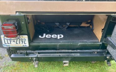 Jeep-wrangler-se-1995-green-14