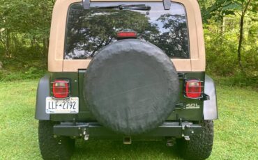 Jeep-wrangler-se-1995-green-17